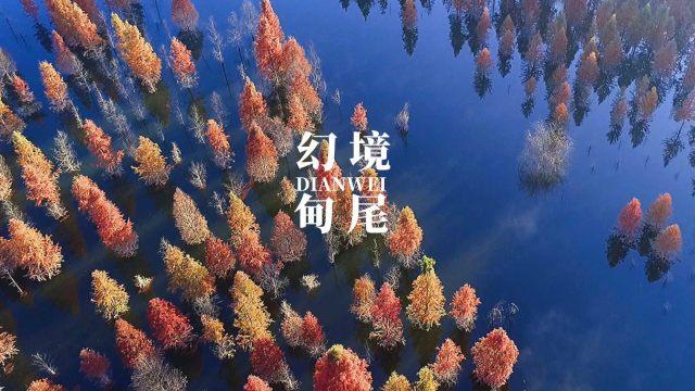 马路不是秀场，车道不是T台！