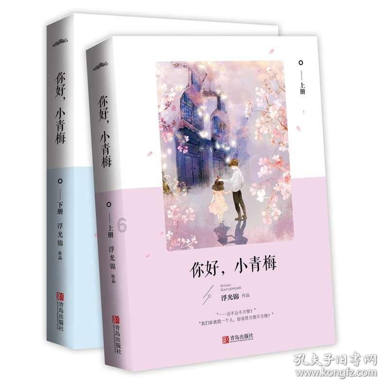 平陆运河首座保通桥实现通车试运行