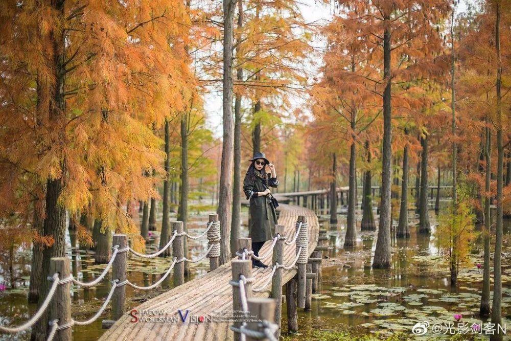 男的是否介意老婆不会做家务？游戏画面