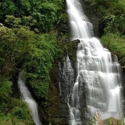 野餐女孩救援