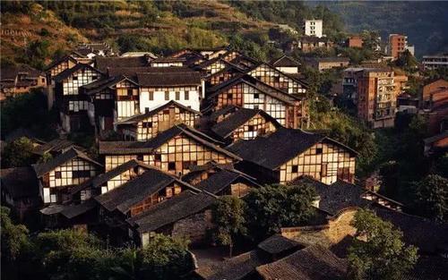 税惠浇灌 “长安花”越开越旺