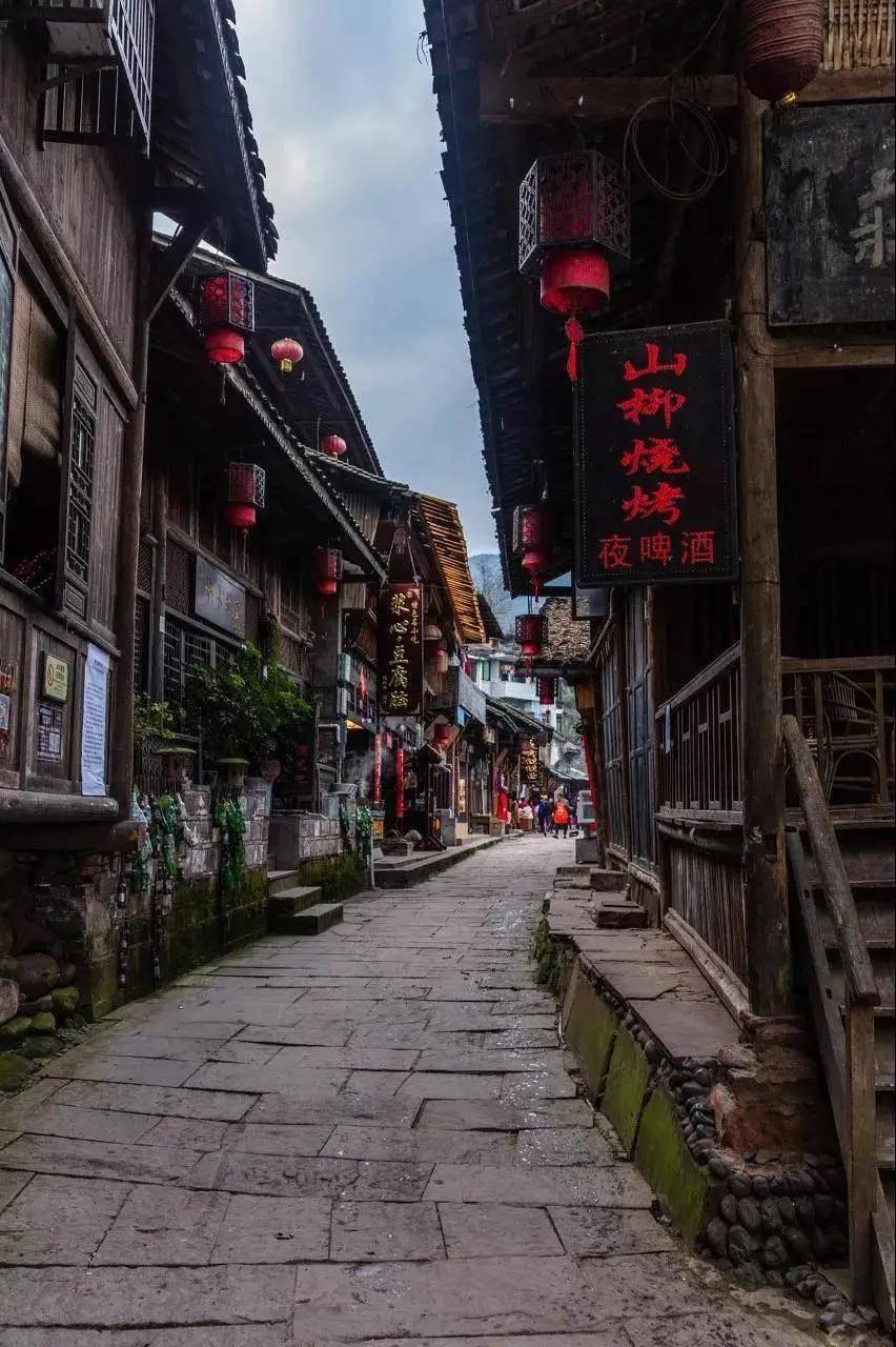 逃出蜜蜂岛