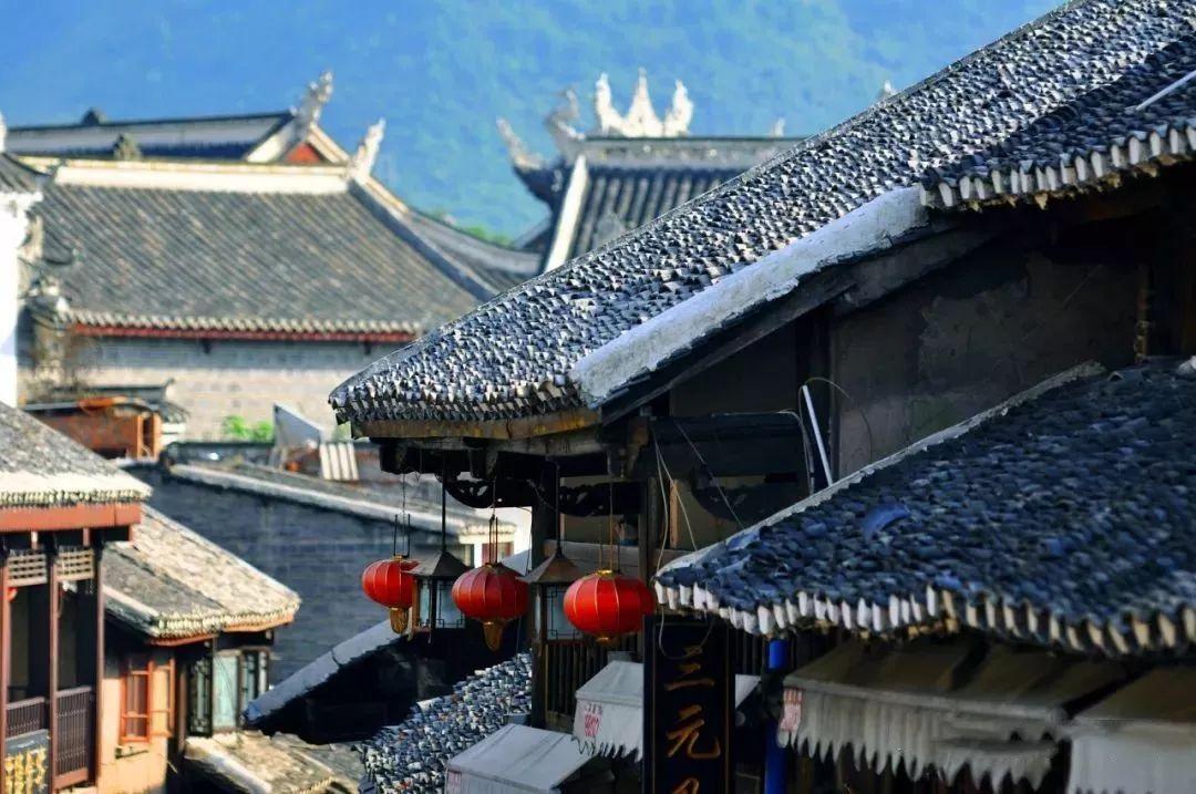 “铲屎官”可以带猫猫乘车了！广东省站宠物猫乘车服务专线正式开通