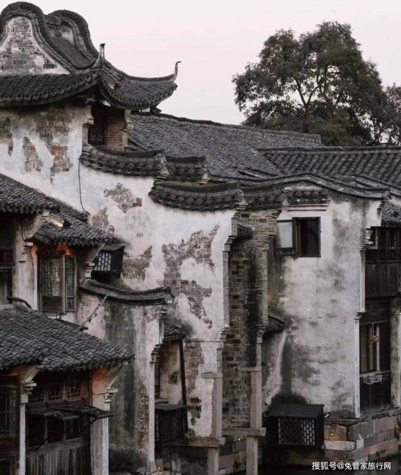 爱吃的鱼